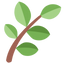 Illustration of a green leafy branch with multiple leaves on a light background.