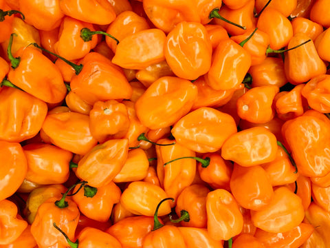 Close-up of bright orange habanero peppers with green stems.